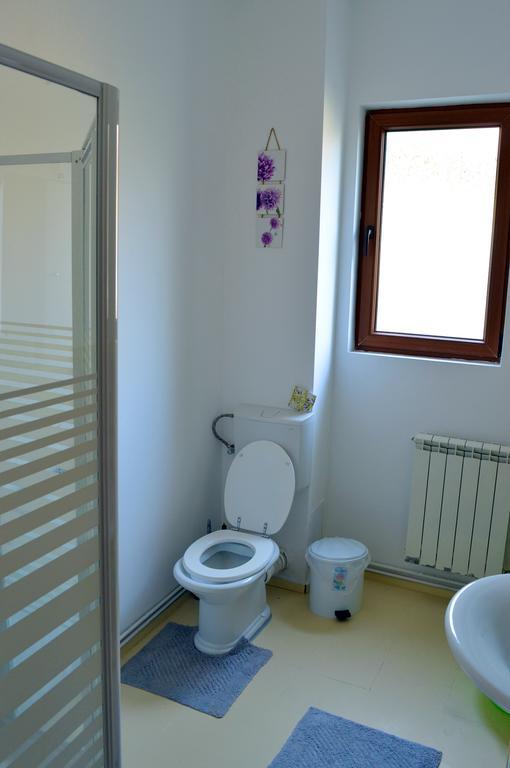 Exit Routine Hostel 티미쇼아라 외부 사진