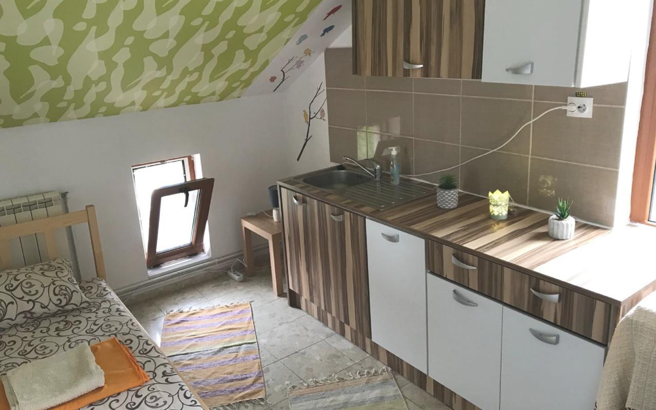 Exit Routine Hostel 티미쇼아라 외부 사진
